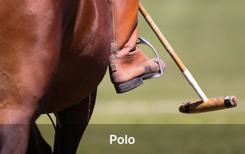 img-polo